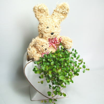 ����r�b�g�g�s�A���[(���C���[�v�����c)��̃C���[�W�ł��B
�N���b�N�Ŋg�債�܂��B