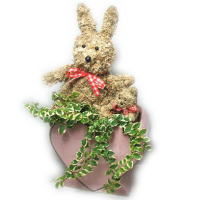 ���r�b�g�g�s�A���[(�v�~��)
���ڍׁE���w���͍������N���b�N��