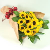 �Ђ܂�肢���ς��̉ԑ�[M]
���ڍׁE���w���͍������N���b�N��