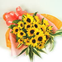 �Ђ܂�肢���ς��̉ԑ�[L]
���ڍׁE���w���͍������N���b�N��