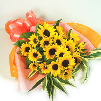 ��Ђ܂�肢���ς��̉ԑ�[L]��̃C���[�W�ł��B
�N���b�N�Ŋg�債�܂��B