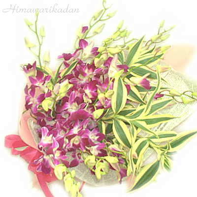 ��f���t�@���̃u�[�P��̃C���[�W�ł��B
�N���b�N�Ŋg�債�܂��B