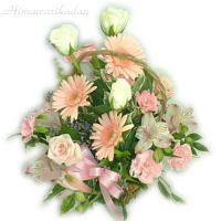 �V���v���A�����W
���ڍׁE���w���͍������N���b�N��