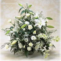 �J�T�u�����J�̂�����݃A�����W
���ڍׁE���w���͍������N���b�N��