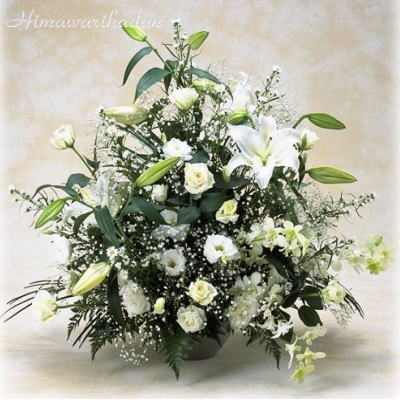 ��J�T�u�����J�̂�����݃A�����W��̃C���[�W�ł��B
�N���b�N�Ŋg�債�܂��B