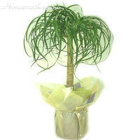 �|�j�[�e�[��[M]
���ڍׁE���w���͍������N���b�N��