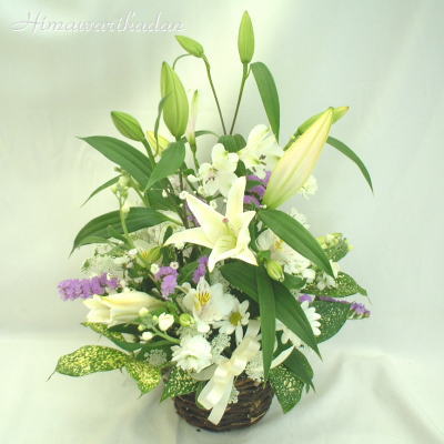 ��S���̂���₩�ȃA�����W��̃C���[�W�ł��B
�N���b�N�Ŋg�債�܂��B