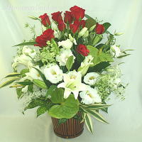 �K�N�ƃ����̍��؃A�����W
���ڍׁE���w���͍������N���b�N��