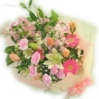 �ԑ��w�p�X�e�����[�W���x
���ڍׁE���w���͍������N���b�N��