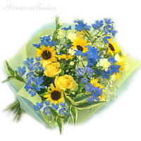 �ԑ��w�T�����b�`�u���[�x
���ڍׁE���w���͍������N���b�N��