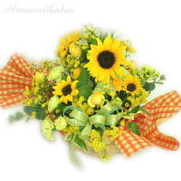 �A�����W�����g�w�v���e�B�[���R�x
���ڍׁE���w���͍������N���b�N��