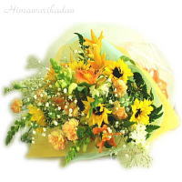 �Ђ܂��̌��C�ȉԑ�
���ڍׁE���w���͍������N���b�N��