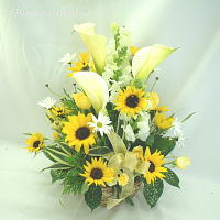 �A�����W�����g�w�g�D���[���u�x
���ڍׁE���w���͍������N���b�N��