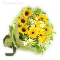 �u�[�P �I�u SUN
���ڍׁE���w���͍������N���b�N��