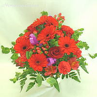 ��M�K�[�x���̃A�����W
���ڍׁE���w���͍������N���b�N��